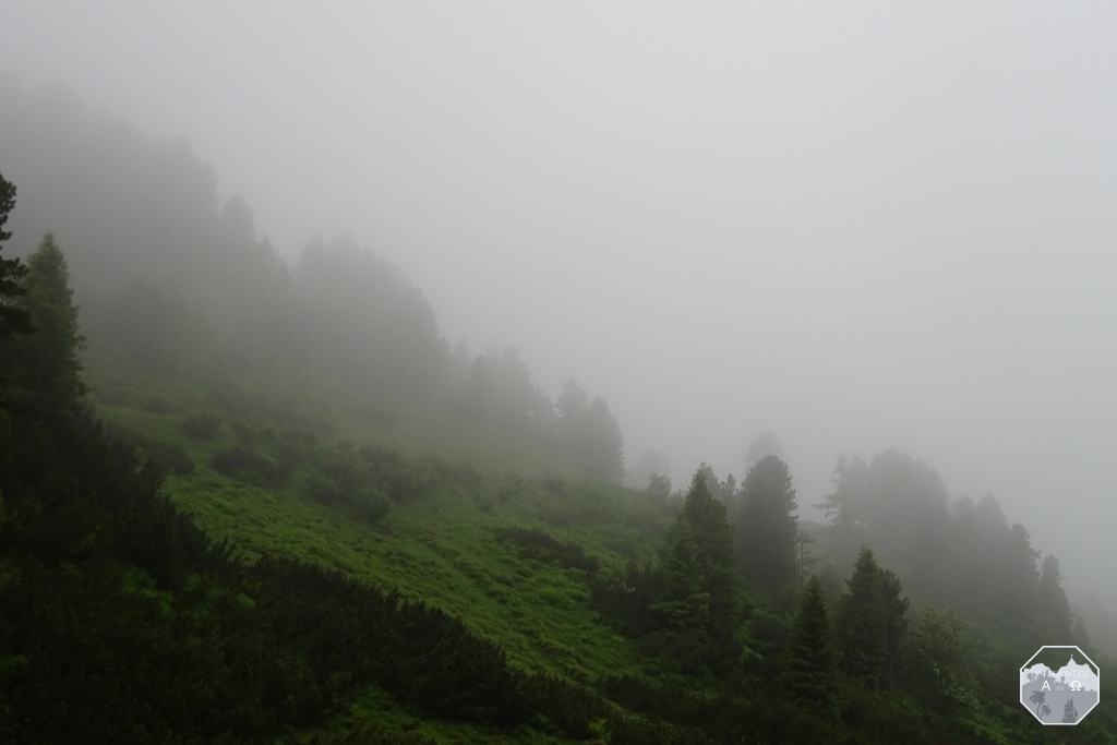 Regenblick vom Balkon
