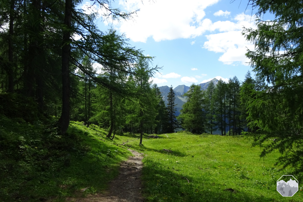 Waldpfad nach Obertauern