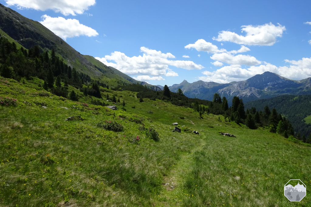 Wanderpfad zur Twenger Alm