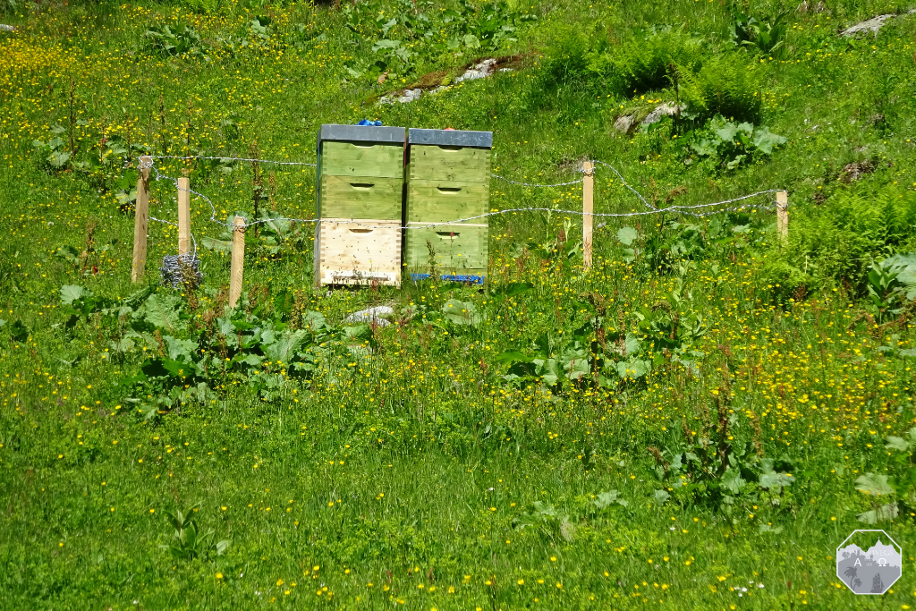 Flora und Fauna