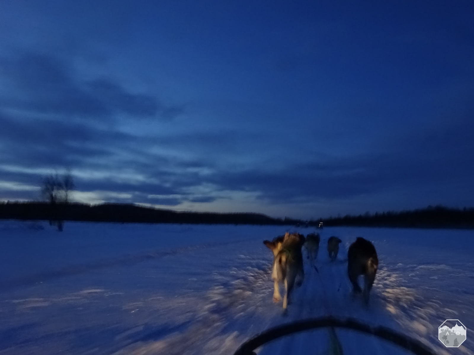 Husky-Safari in Inari
