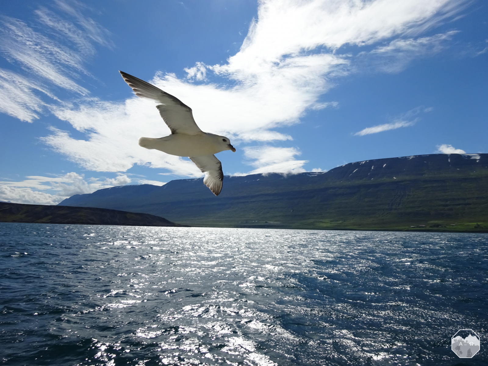 An der Küste Akureyris